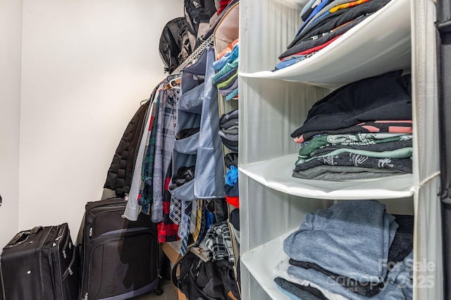 409 Lexie Ln, Rock Hill, SC 29732 - view of walk in closet