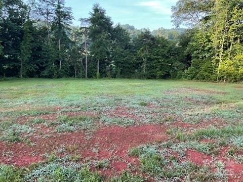 138 Zircon Dr, Statesville, NC 28625 - photo 20