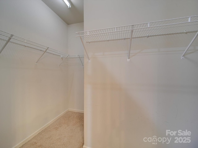 120 Prairie View Ct, Belmont, NC 28012 - spacious closet with carpet floors