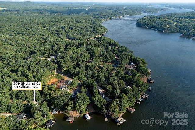 369 Skyland Ct, Mount Gilead, NC 27306 - photo 40