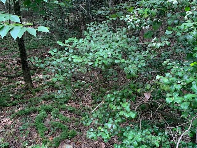 7.67AC Holbert Cove Rd Unit 7.67Ac, Saluda, NC 28773 - photo 1