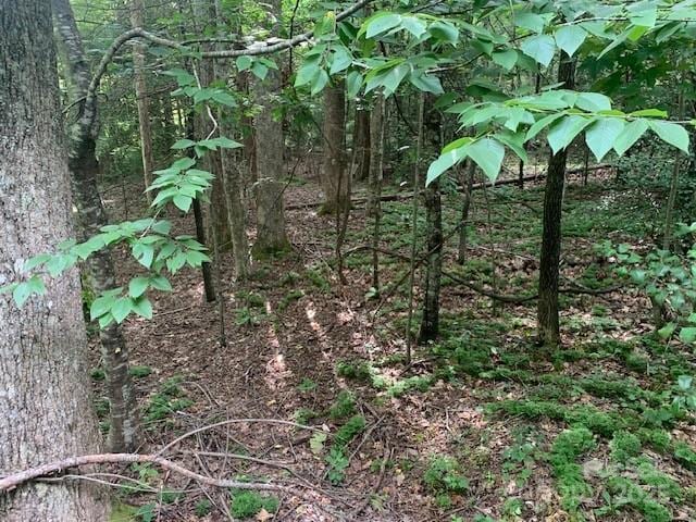 7.67AC Holbert Cove Rd Unit 7.67Ac, Saluda, NC 28773 - photo 3