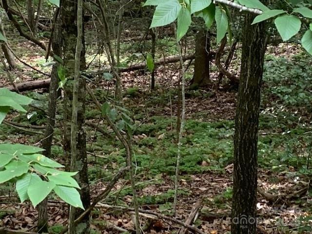 7.67AC Holbert Cove Rd Unit 7.67Ac, Saluda, NC 28773 - photo 5