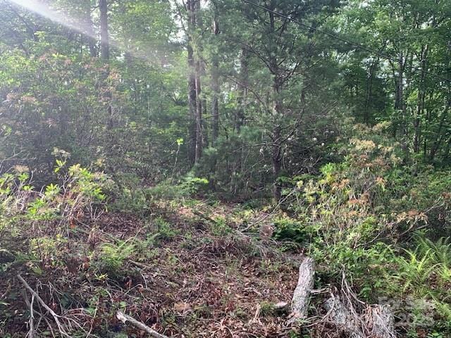 7.67AC Holbert Cove Rd Unit 7.67Ac, Saluda, NC 28773 - photo 7