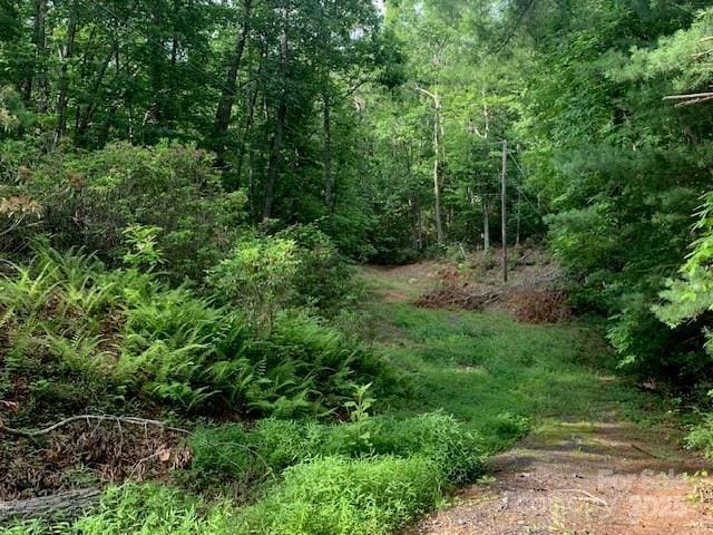 7.67AC Holbert Cove Rd Unit 7.67Ac, Saluda, NC 28773 - photo 8