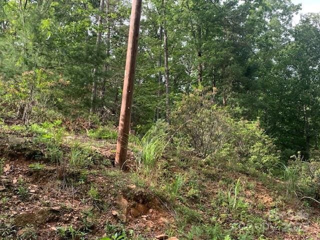 7.67AC Holbert Cove Rd Unit 7.67Ac, Saluda, NC 28773 - photo 9