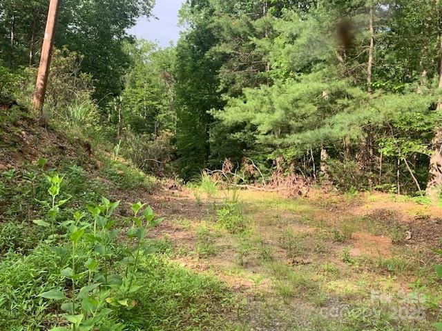 7.67AC Holbert Cove Rd Unit 7.67Ac, Saluda, NC 28773 - photo 10
