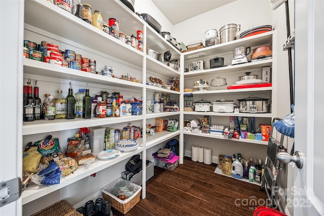 16547 Bastille Dr, Charlotte, NC 28278 - view of pantry