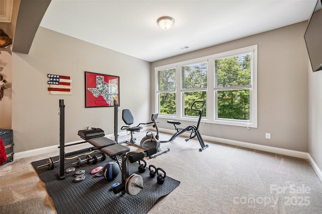 16547 Bastille Dr, Charlotte, NC 28278 - exercise area with carpet