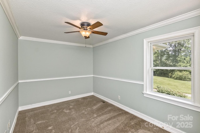 170 Beaverdam Loop Rd, Candler, NC 28715 - photo 19