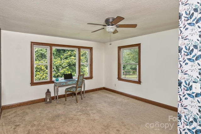 170 Beaverdam Loop Rd, Candler, NC 28715 - photo 22