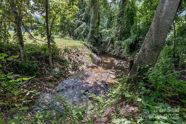 170 Beaverdam Loop Rd, Candler, NC 28715 - photo 37