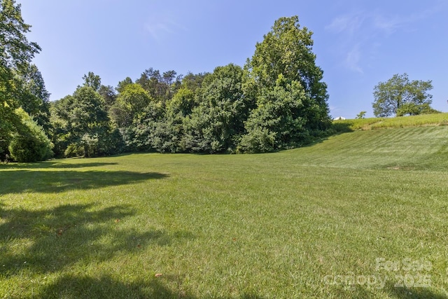 170 Beaverdam Loop Rd, Candler, NC 28715 - photo 38