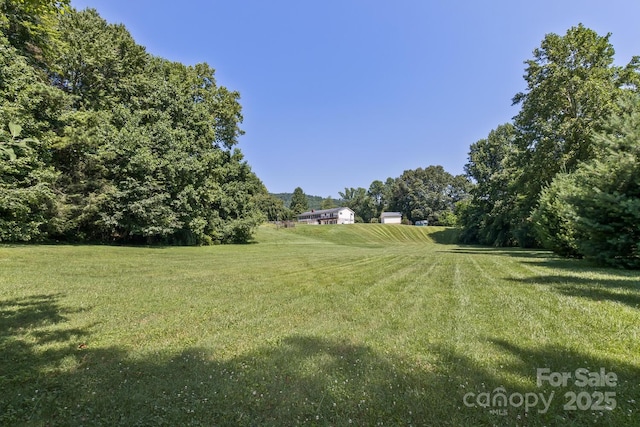 170 Beaverdam Loop Rd, Candler, NC 28715 - photo 39