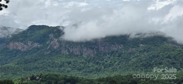221 Flat Branch Trl, Mill Spring, NC 28756 - view of mountain background featuring a forest