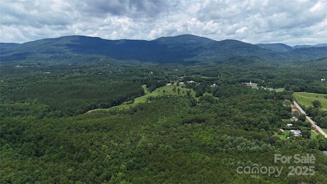 221 Flat Branch Trl, Mill Spring, NC 28756 - view of mountain background featuring a heavily wooded area