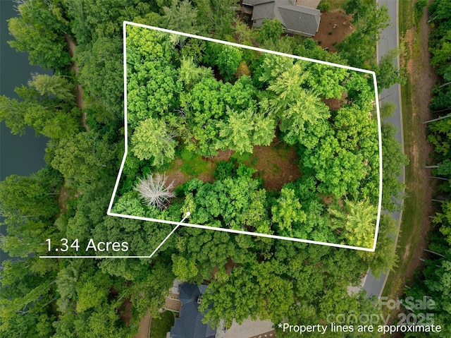 17 Hendrickson Ct Unit 5016, Candler, NC 28715