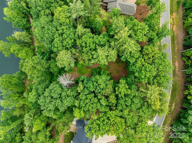 17 Hendrickson Ct Unit 5016, Candler, NC 28715