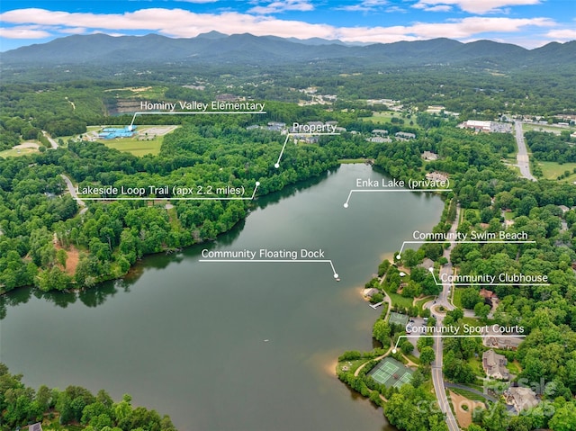 17 Hendrickson Ct Unit 5016, Candler, NC 28715