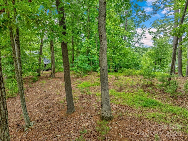 17 Hendrickson Ct Unit 5016, Candler, NC 28715