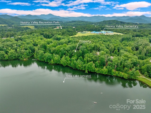 17 Hendrickson Ct Unit 5016, Candler, NC 28715