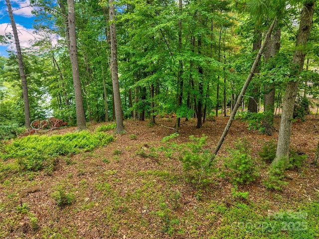 17 Hendrickson Ct Unit 5016, Candler, NC 28715