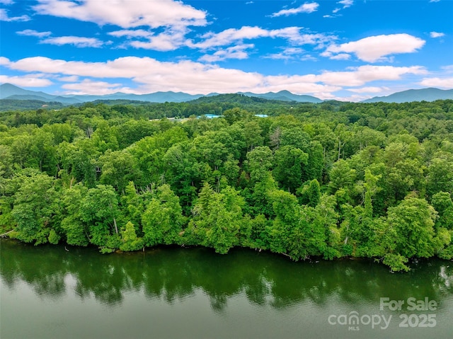 17 Hendrickson Ct Unit 5016, Candler, NC 28715