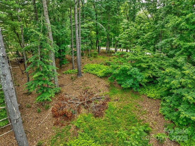 17 Hendrickson Ct Unit 5016, Candler, NC 28715