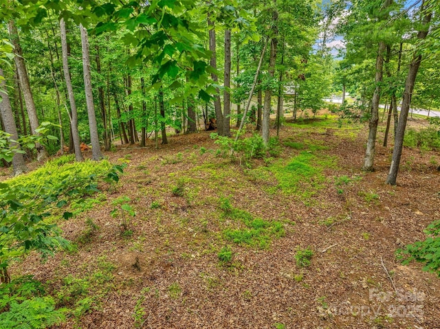 17 Hendrickson Ct Unit 5016, Candler, NC 28715