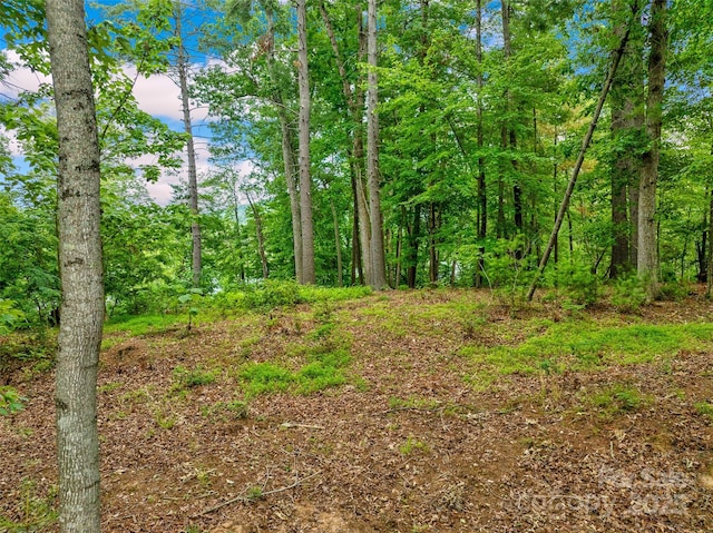 17 Hendrickson Ct Unit 5016, Candler, NC 28715