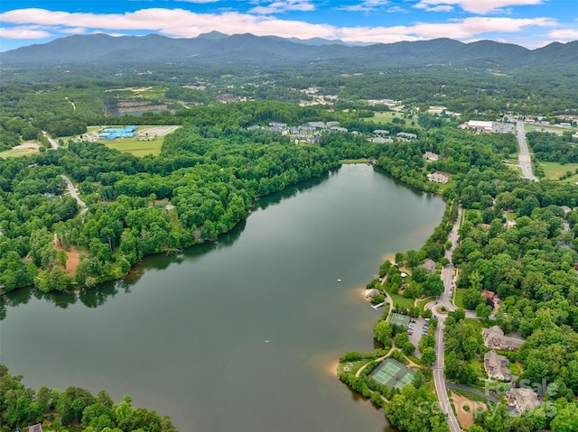17 Hendrickson Ct Unit 5016, Candler, NC 28715