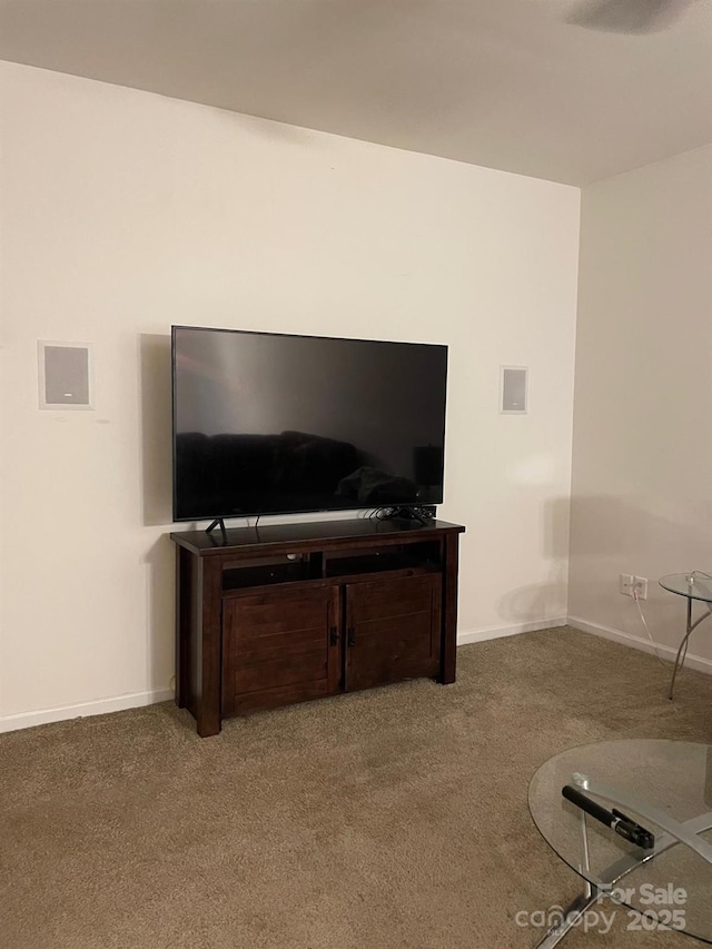 13116 Erwin Rd, Charlotte, NC 28273 - unfurnished living room with carpet and baseboards