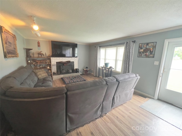 803 Bannon Pl, Lenoir, NC 28645 - living room featuring crown molding, a textured ceiling, wood finished floors, healthy amount of natural light, and a fireplace