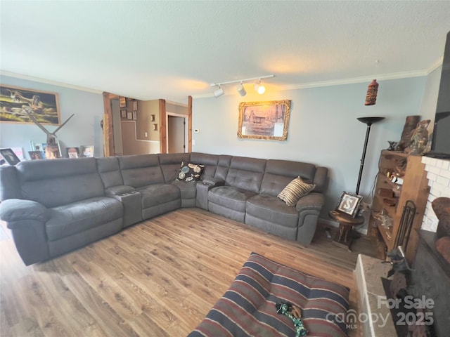 803 Bannon Pl, Lenoir, NC 28645 - living room with track lighting, wood finished floors, crown molding, a textured ceiling, and a fireplace