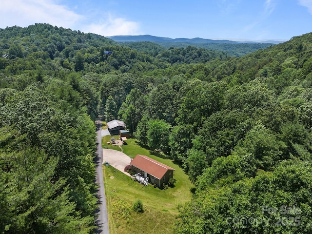 54 Thad Johnson Rd, Saluda, NC 28773 - photo 3