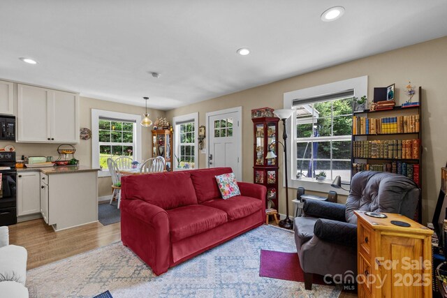 54 Thad Johnson Rd, Saluda, NC 28773 - photo 19