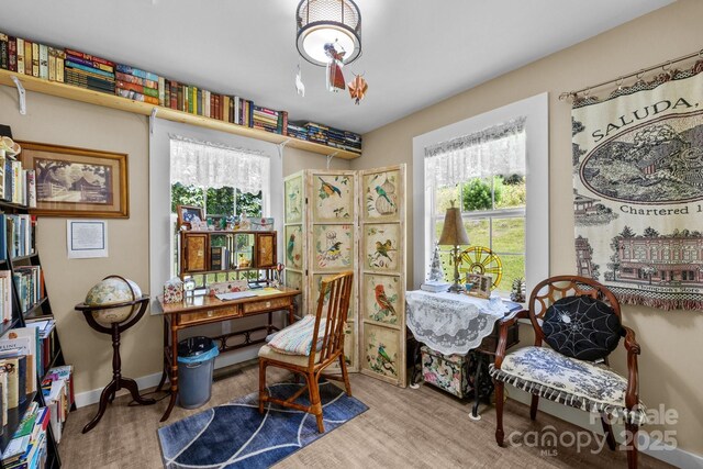 54 Thad Johnson Rd, Saluda, NC 28773 - photo 28
