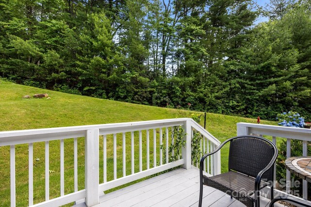 54 Thad Johnson Rd, Saluda, NC 28773 - photo 30