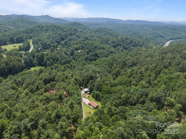 54 Thad Johnson Rd, Saluda, NC 28773 - photo 37