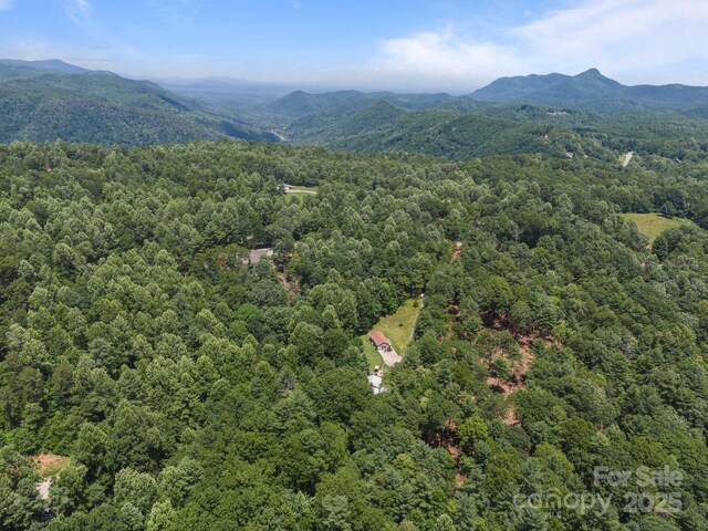 54 Thad Johnson Rd, Saluda, NC 28773 - photo 38