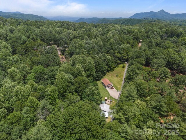 54 Thad Johnson Rd, Saluda, NC 28773 - photo 39
