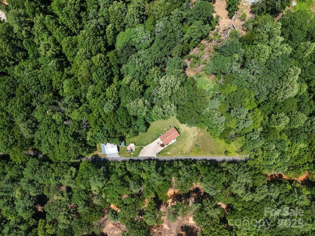 54 Thad Johnson Rd, Saluda, NC 28773 - photo 40