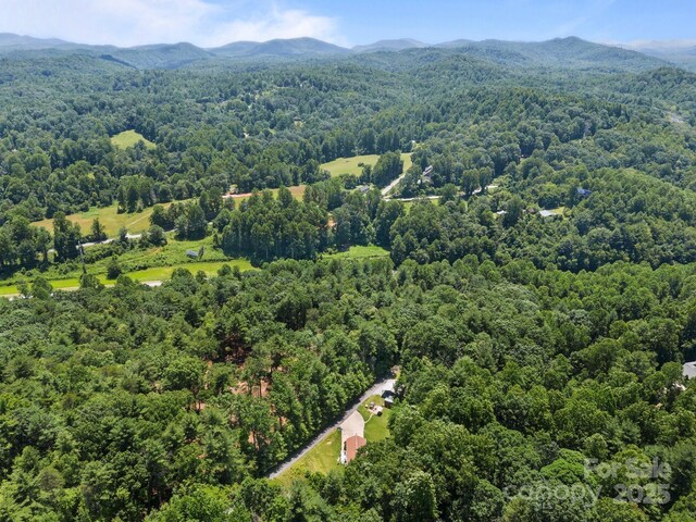 54 Thad Johnson Rd, Saluda, NC 28773 - photo 41