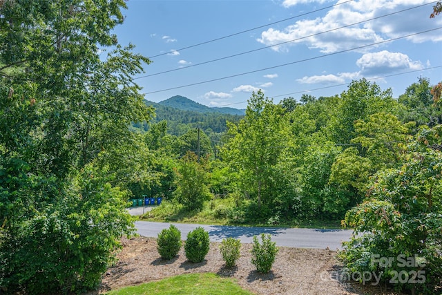 3 Chickadee Ln, Fairview, NC 28730 - view of mountain backdrop featuring a forest