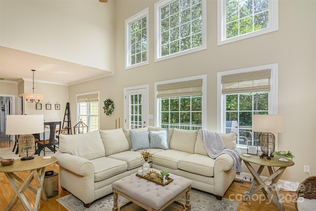 3 Chickadee Ln, Fairview, NC 28730 - living area with wood finished floors, a high ceiling, and crown molding