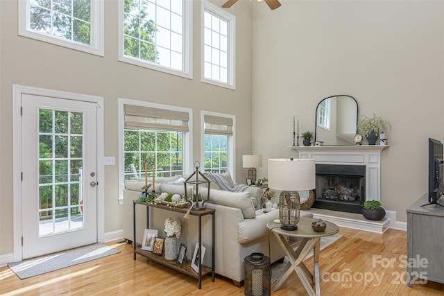 3 Chickadee Ln, Fairview, NC 28730 - living area featuring a ceiling fan, a high ceiling, a fireplace with raised hearth, light wood-type flooring, and healthy amount of natural light