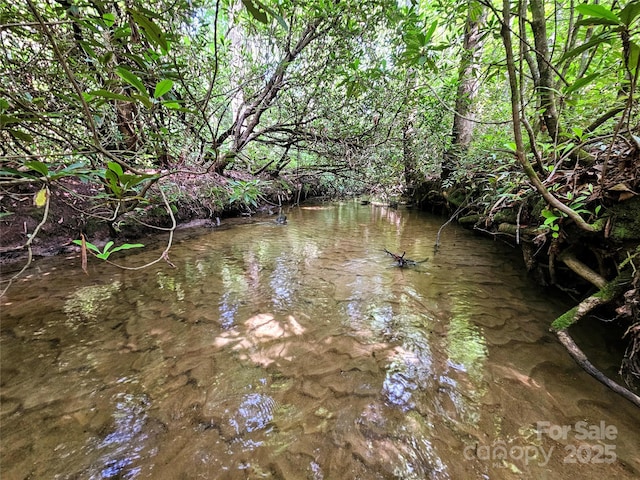 000 Blue Ridge Rd, Lake Toxaway, NC 28747