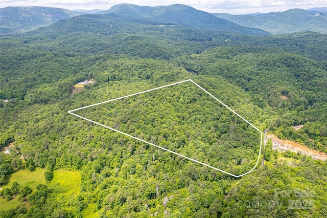 000 Blue Ridge Rd, Lake Toxaway, NC 28747