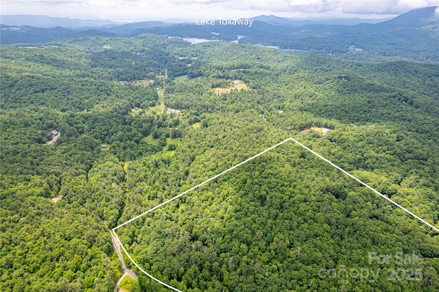 000 Blue Ridge Rd, Lake Toxaway, NC 28747