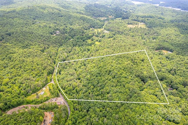 000 Blue Ridge Rd, Lake Toxaway, NC 28747